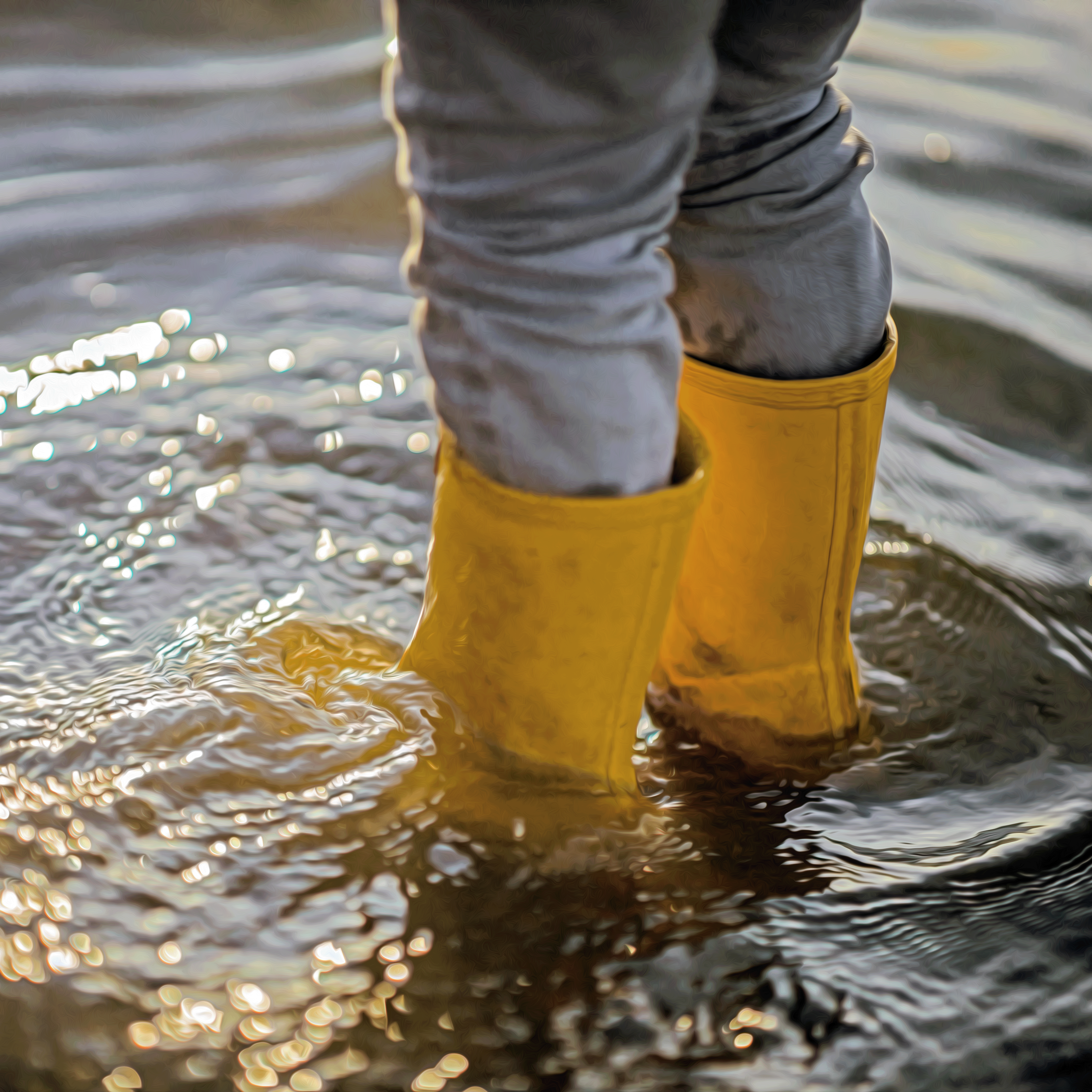 flooding image